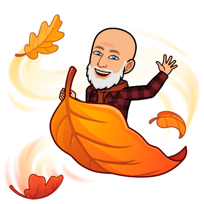 David Martin Design logo featuring a Bitmoji of David Martin, a bald man with a white beard, wearing a red plaid shirt and surrounded by swirling autumn leaves.